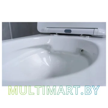 Унитаз Gid Ws2198 картинка 4